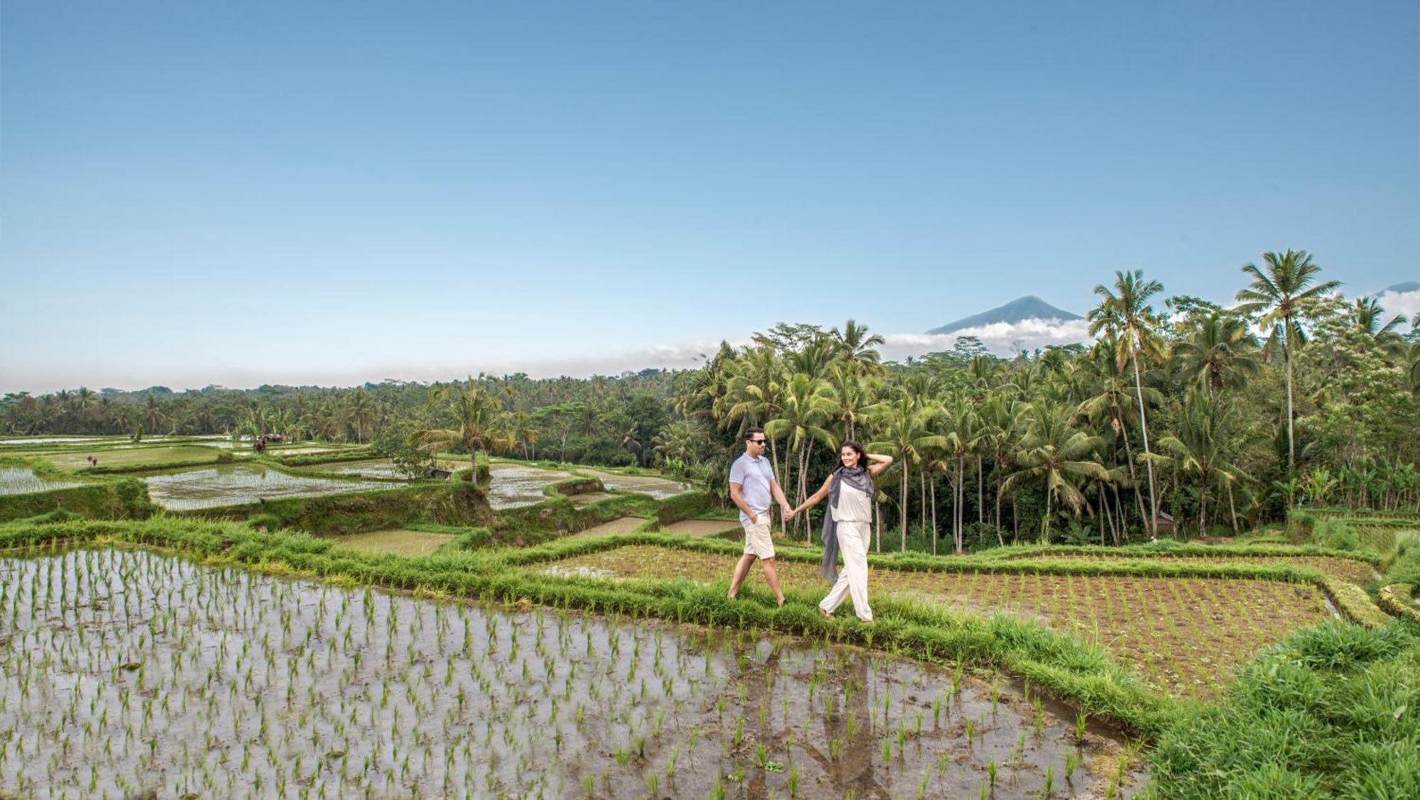 Samsara Ubud Eksteriør billede
